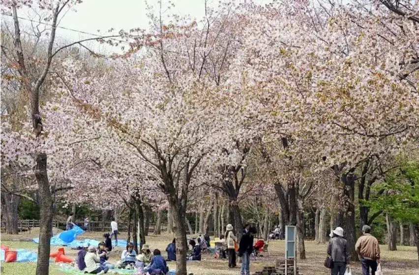 마루야마 공원